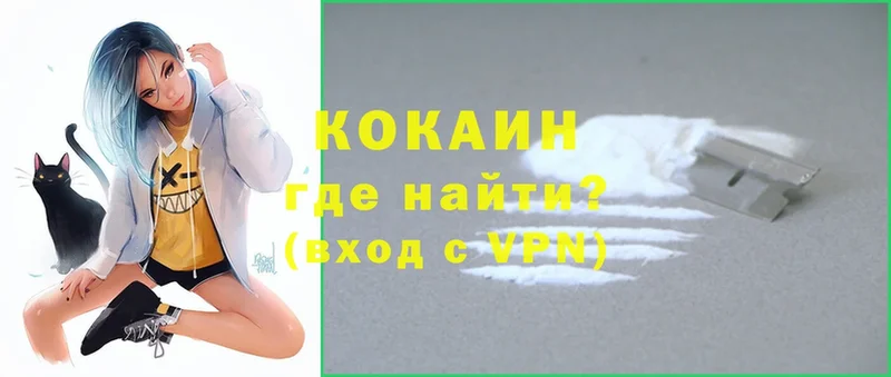 где можно купить   Палласовка  COCAIN VHQ 