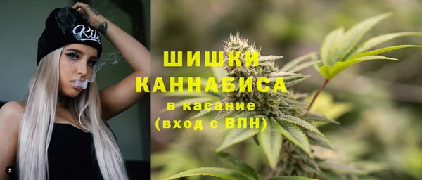 ECSTASY Майский