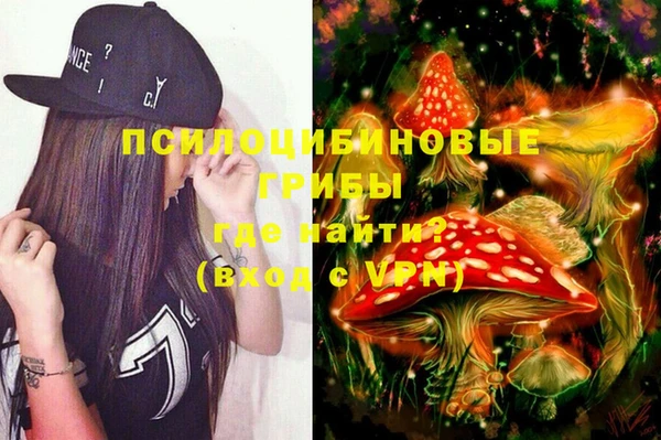 спиды Мегион