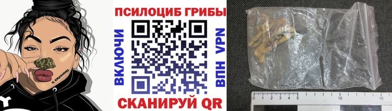 блэк спрут вход  Палласовка  Псилоцибиновые грибы GOLDEN TEACHER 